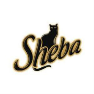 Sheba-Logo-Font